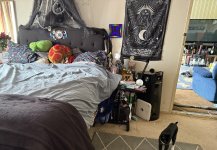 IMG_7550.jpeg