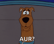 confused-wat[1].gif