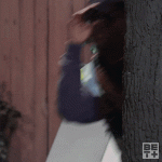 1000048768.gif