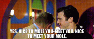 d834cd67-21fe-4af5-9c72-8b1255b8545e_text.gif